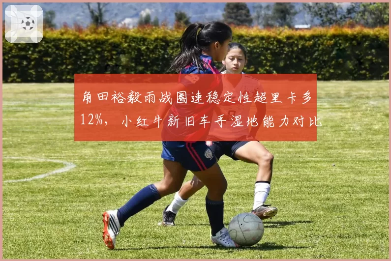 角田裕毅雨战圈速稳定性超里卡多12%，小红牛新旧车手湿地能力对比悬殊