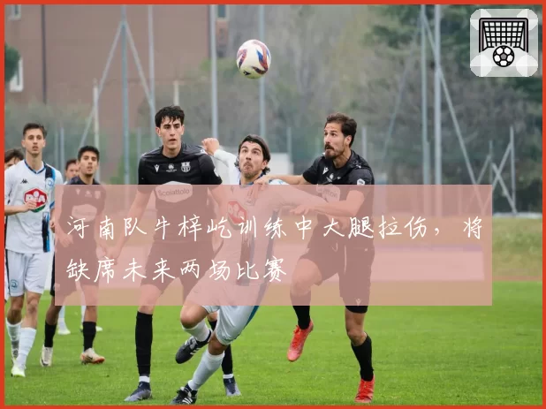 河南队牛梓屹训练中大腿拉伤，将缺席未来两场比赛