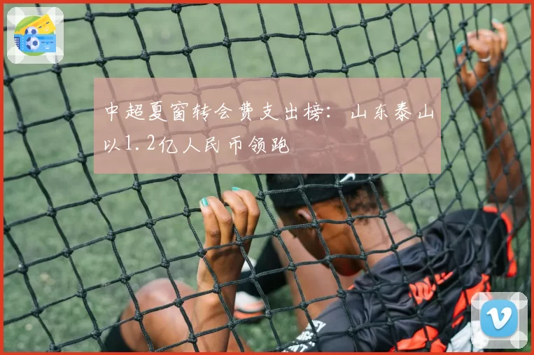 中超夏窗转会费支出榜：山东泰山以1.2亿人民币领跑