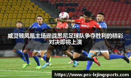 威灵顿凤凰主场迎战悉尼足球队争夺胜利的精彩对决即将上演