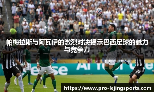 乐竟体育